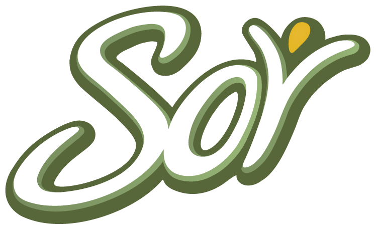 Soy