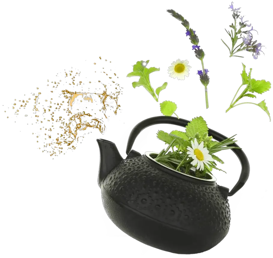 Productos naturales Herbal TEA SOY en Punta Cana